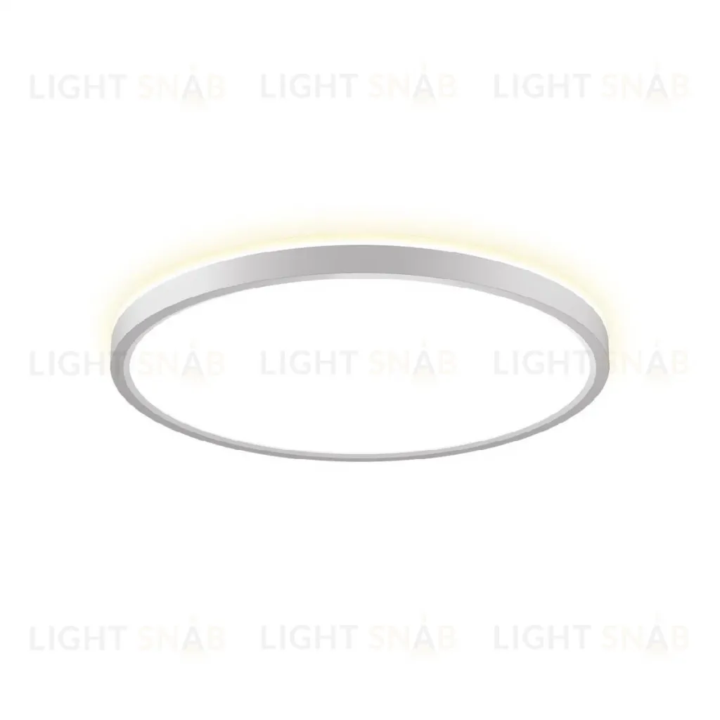 Потолочный светильник Citilux Norma CL748320 CL748320