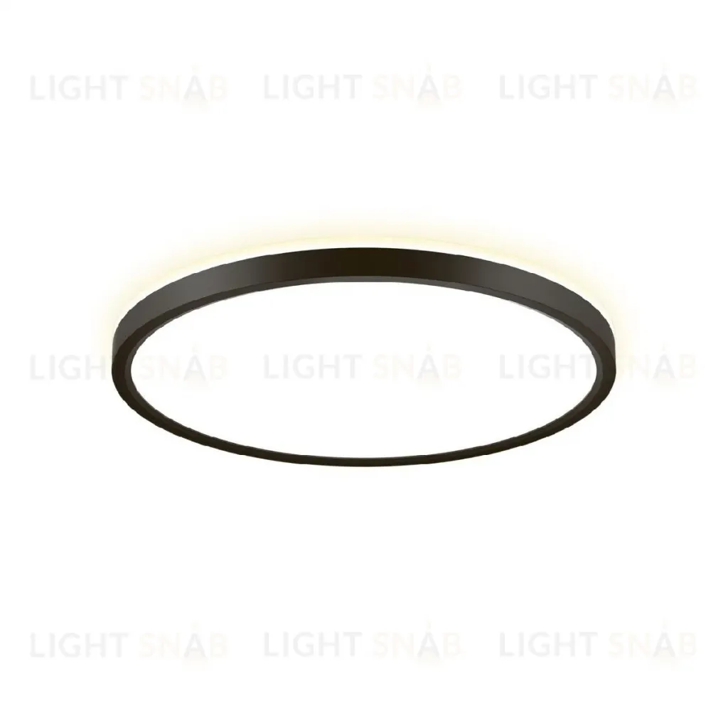 Потолочный светильник Citilux Norma CL748321 CL748321