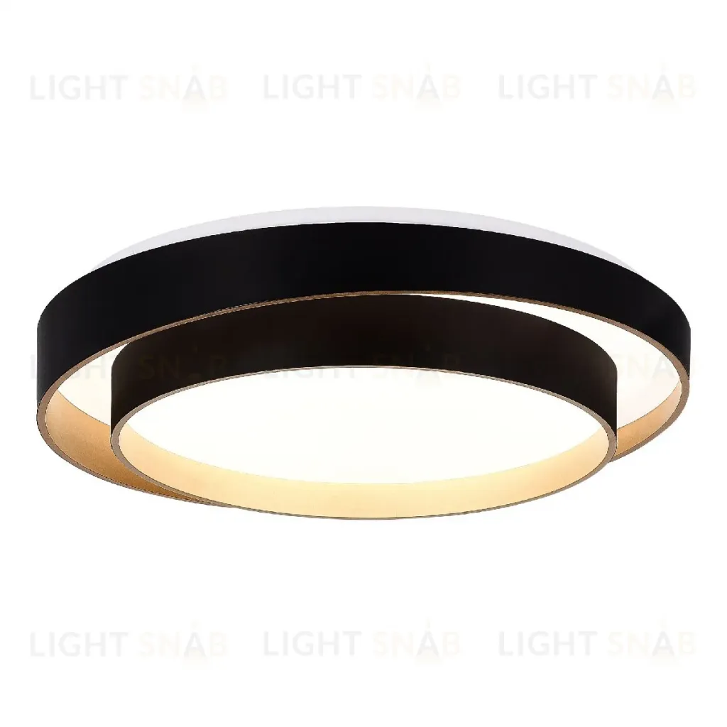 Потолочный светильник Evoluce Crosby SLE6009-402-01 SLE6009-402-01