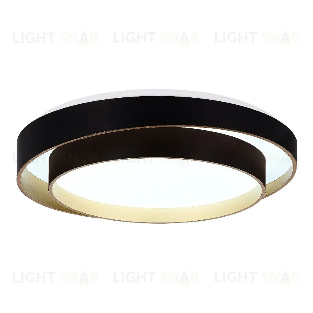 Потолочный светильник Evoluce Crosby SLE6009-402-01 SLE6009-402-01