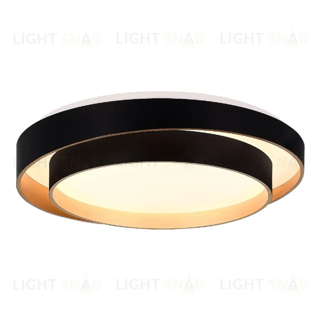 Потолочный светильник Evoluce Crosby SLE6009-402-01 SLE6009-402-01