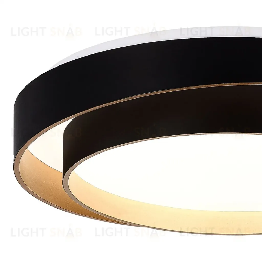 Потолочный светильник Evoluce Crosby SLE6009-402-01 SLE6009-402-01