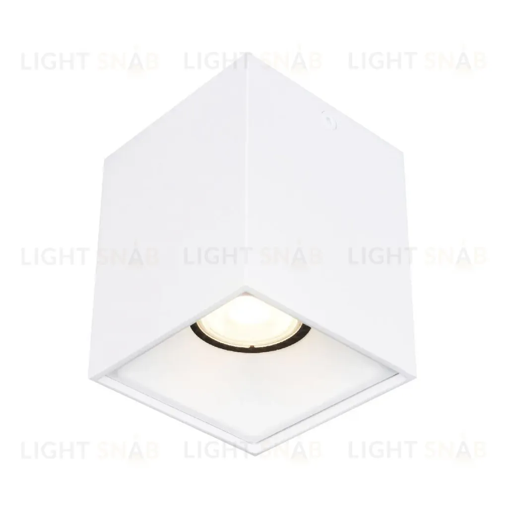 Накладной светильник ST Luce ST168.502.01 ST168.502.01