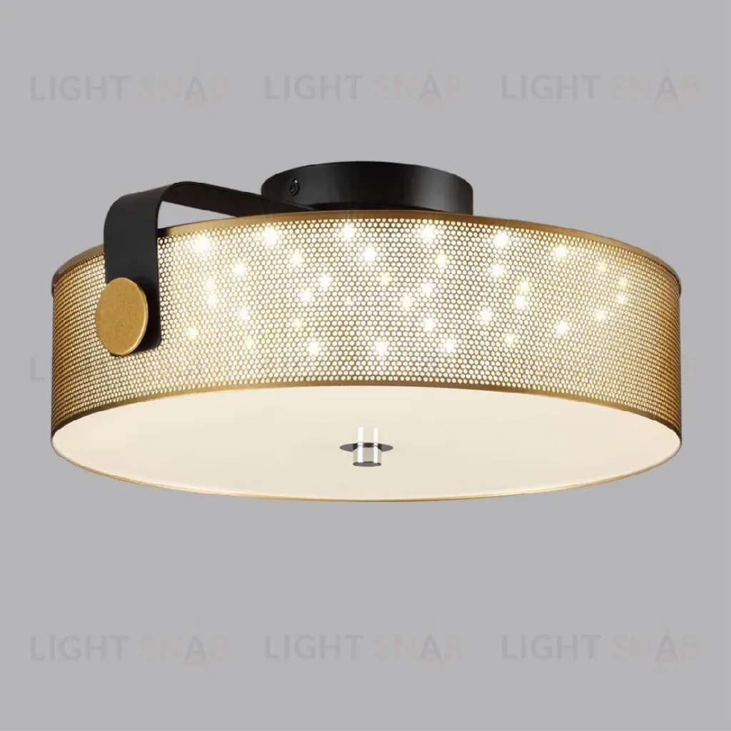 Потолочный светильник Lumion Drumy 6597/40L 6597/40L