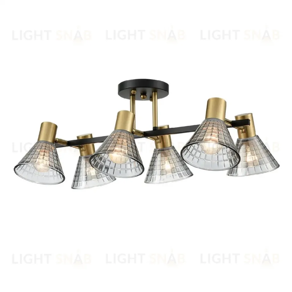 Потолочная люстра Lumion Anriya 8044/6C 8044/6C