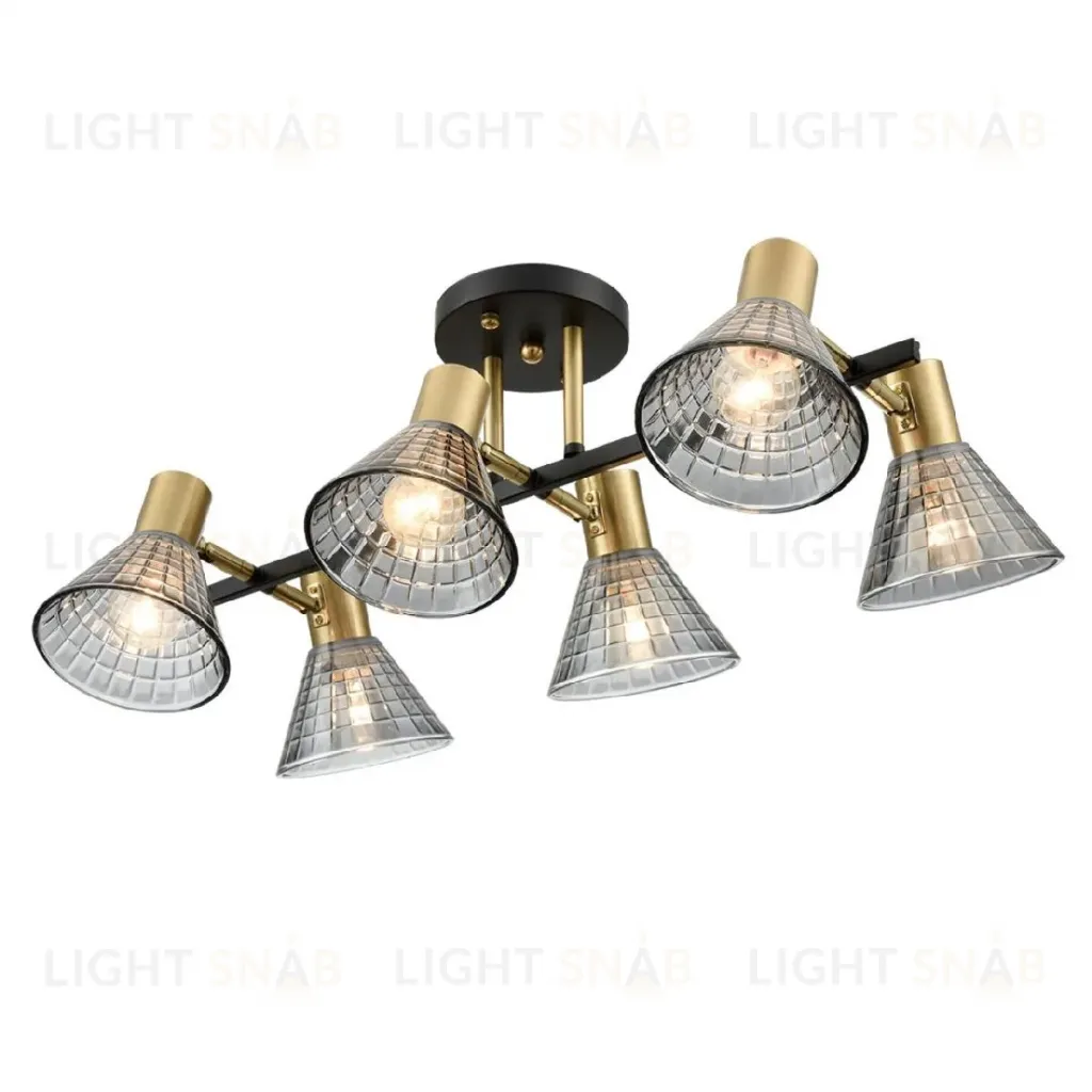 Потолочная люстра Lumion Anriya 8044/6C 8044/6C