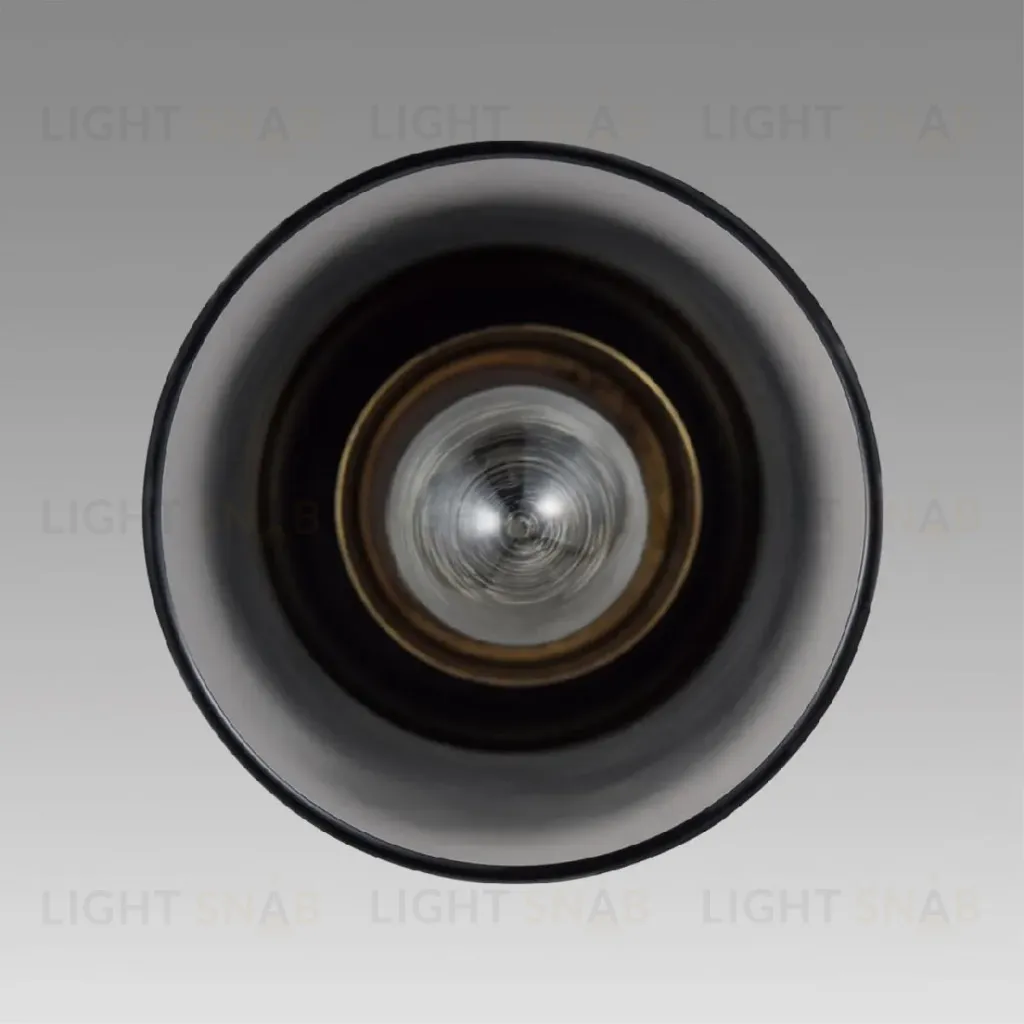 Подвесной светильник Lumion Isha 8101/1A 8101/1A