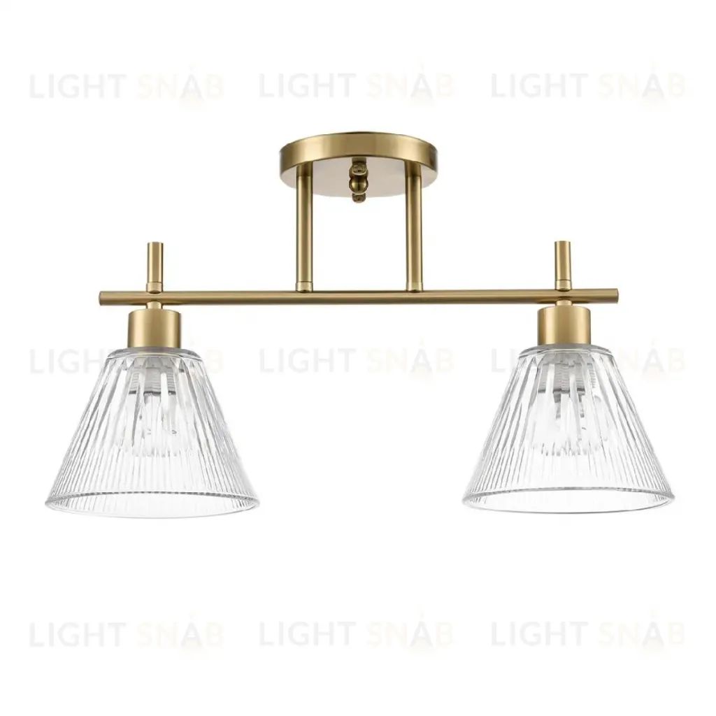Потолочный светильник Lumion Vivian 8188/2C 8188/2C