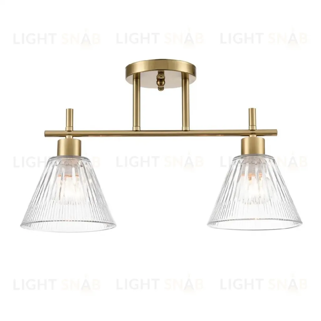 Потолочный светильник Lumion Vivian 8188/2C 8188/2C