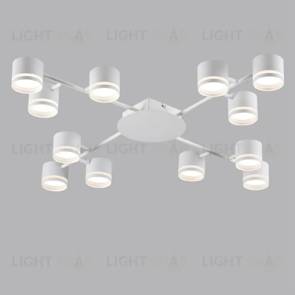 Потолочная люстра Lumion Gareta 8235/12C 8235/12C
