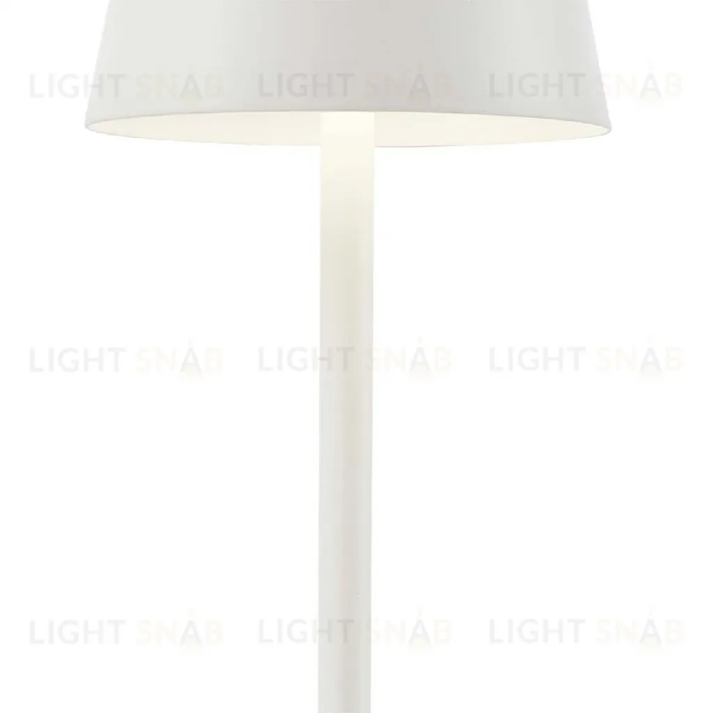 Настольная лампа F-Promo Pyari 4614-1T 4614-1T