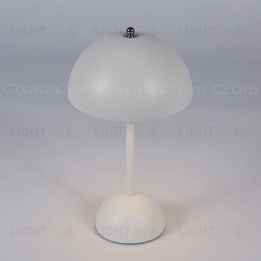 Настольная лампа Cloyd Erma 30135 30135
