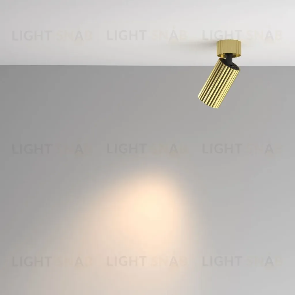 Накладной спот Maytoni Calipso C108CL-01-GU10-BS C108CL-01-GU10-BS