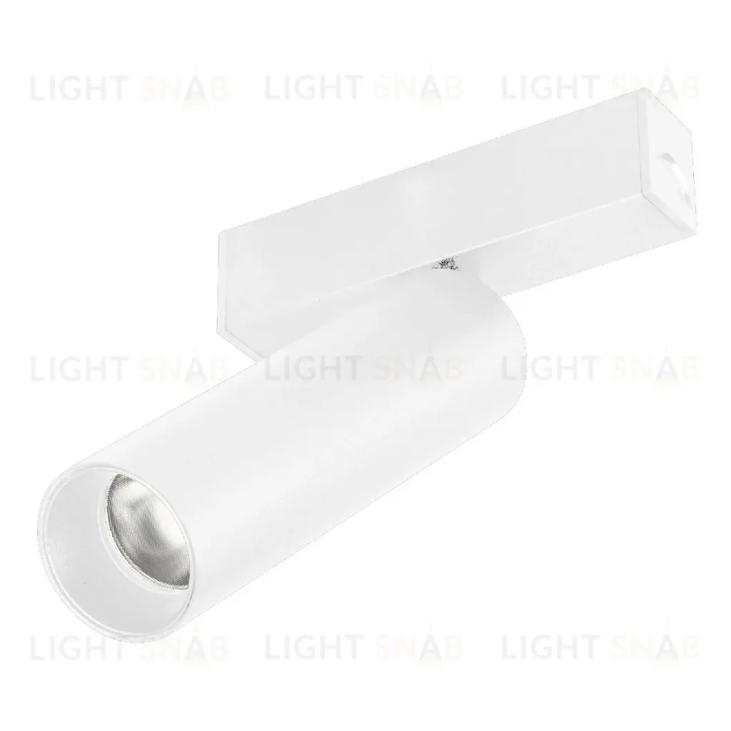 Трековый магнитный светильник Arlight MAG-SPOT-25-R120-12W Day4000 050076 050076