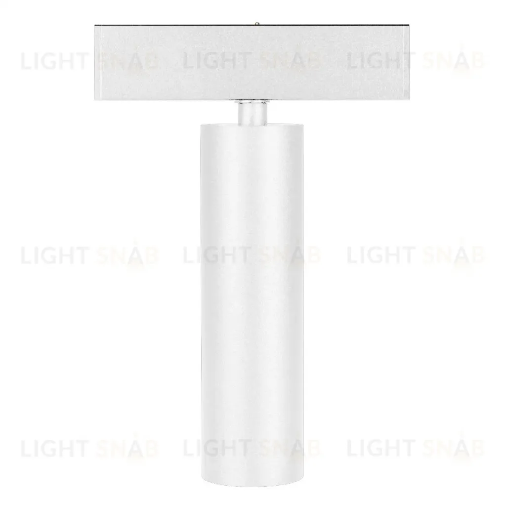 Трековый магнитный светильник Arlight MAG-SPOT-25-R120-12W Day4000 050076 050076