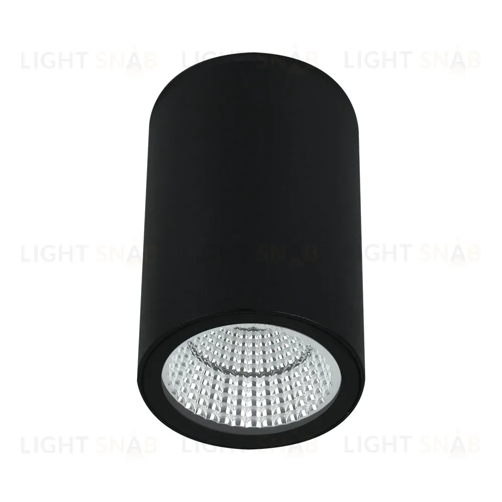 Уличный потолочный светильник Arte Lamp Torcular A1807PF-1BK A1807PF-1BK