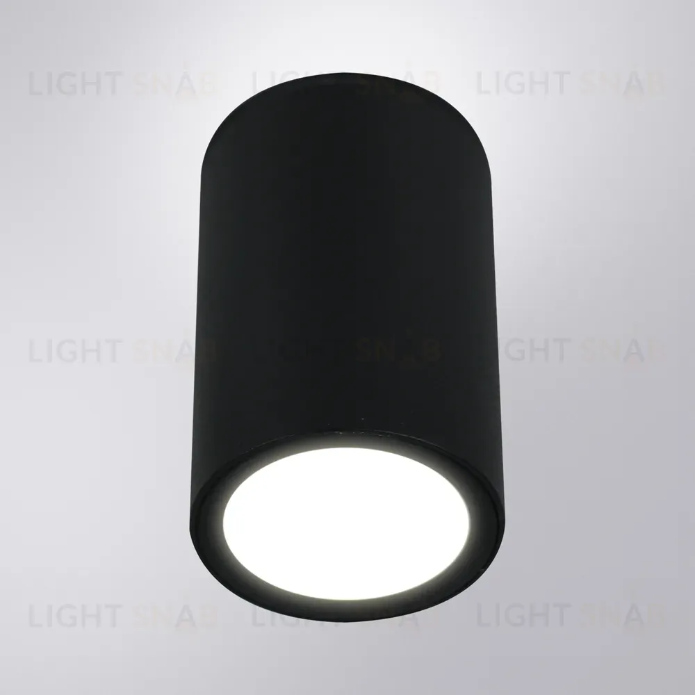 Уличный потолочный светильник Arte Lamp Torcular A1807PF-1BK A1807PF-1BK