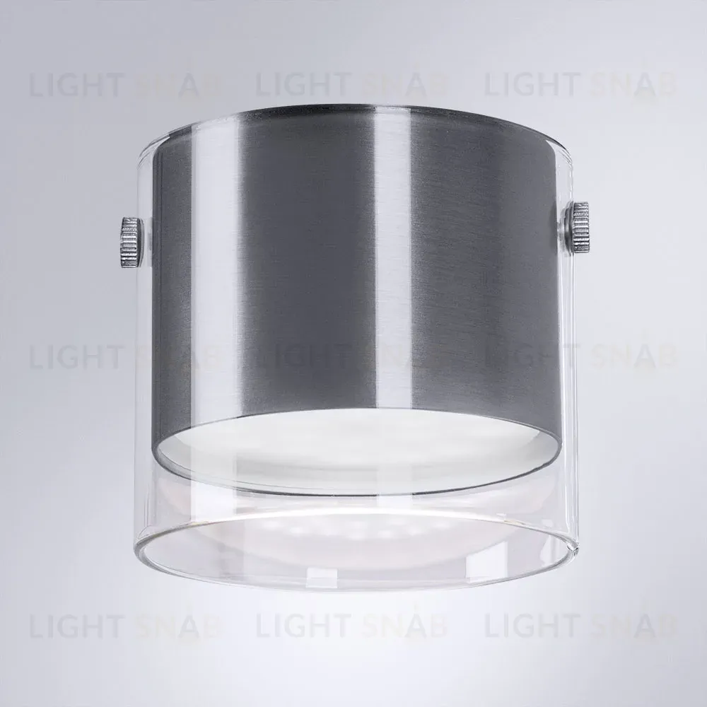 Накладной светильник Arte Lamp Lazio A5366PL-1SS A5366PL-1SS