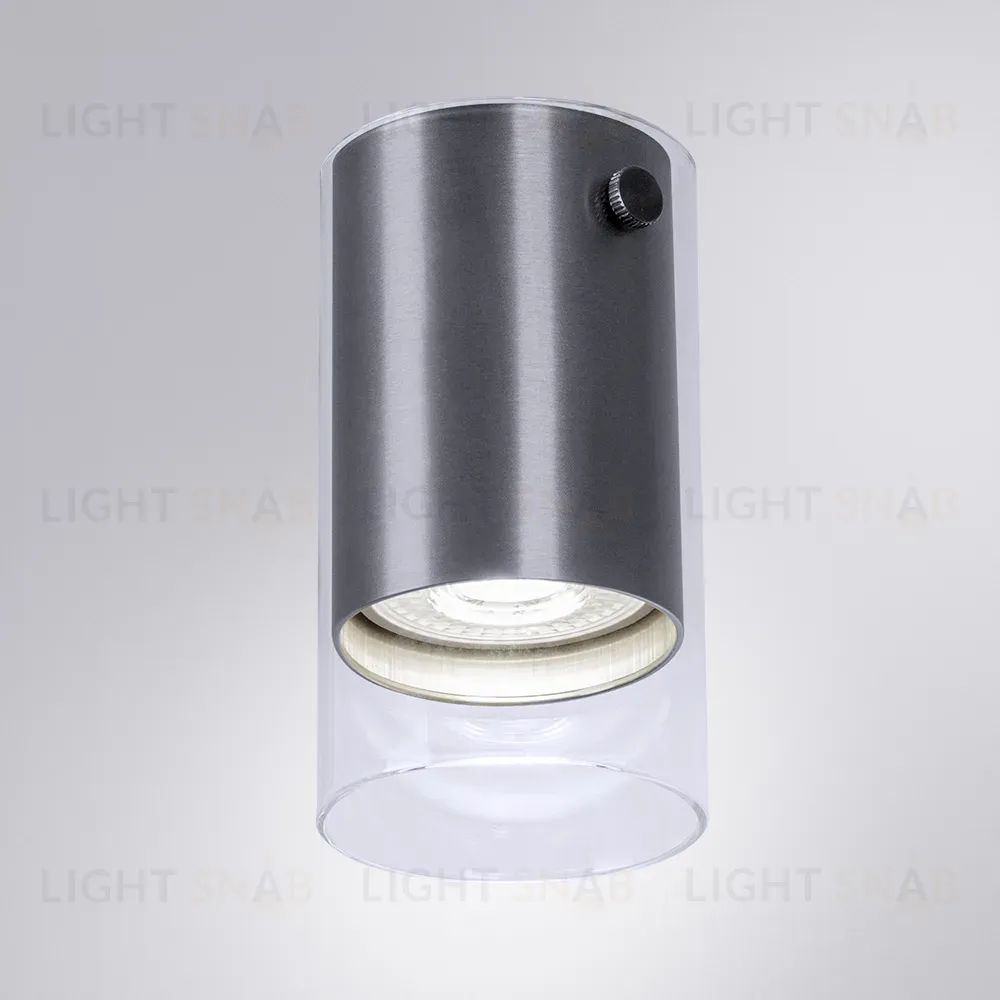 Накладной светильник Arte Lamp Lazio A5365PL-1SS A5365PL-1SS