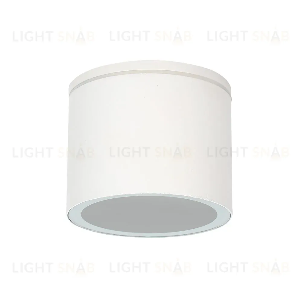 Уличный потолочный светильник Arte Lamp Piautos A1913PF-1WH A1913PF-1WH