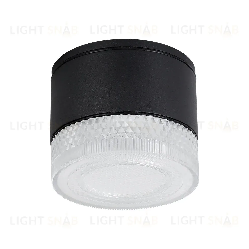 Уличный потолочный светильник Arte Lamp Piautos A1926PF-1BK A1926PF-1BK