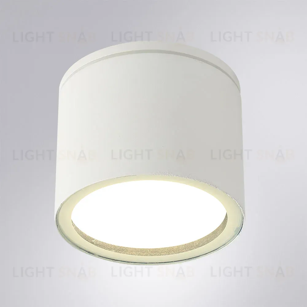 Уличный потолочный светильник Arte Lamp Piautos A1913PF-1WH A1913PF-1WH