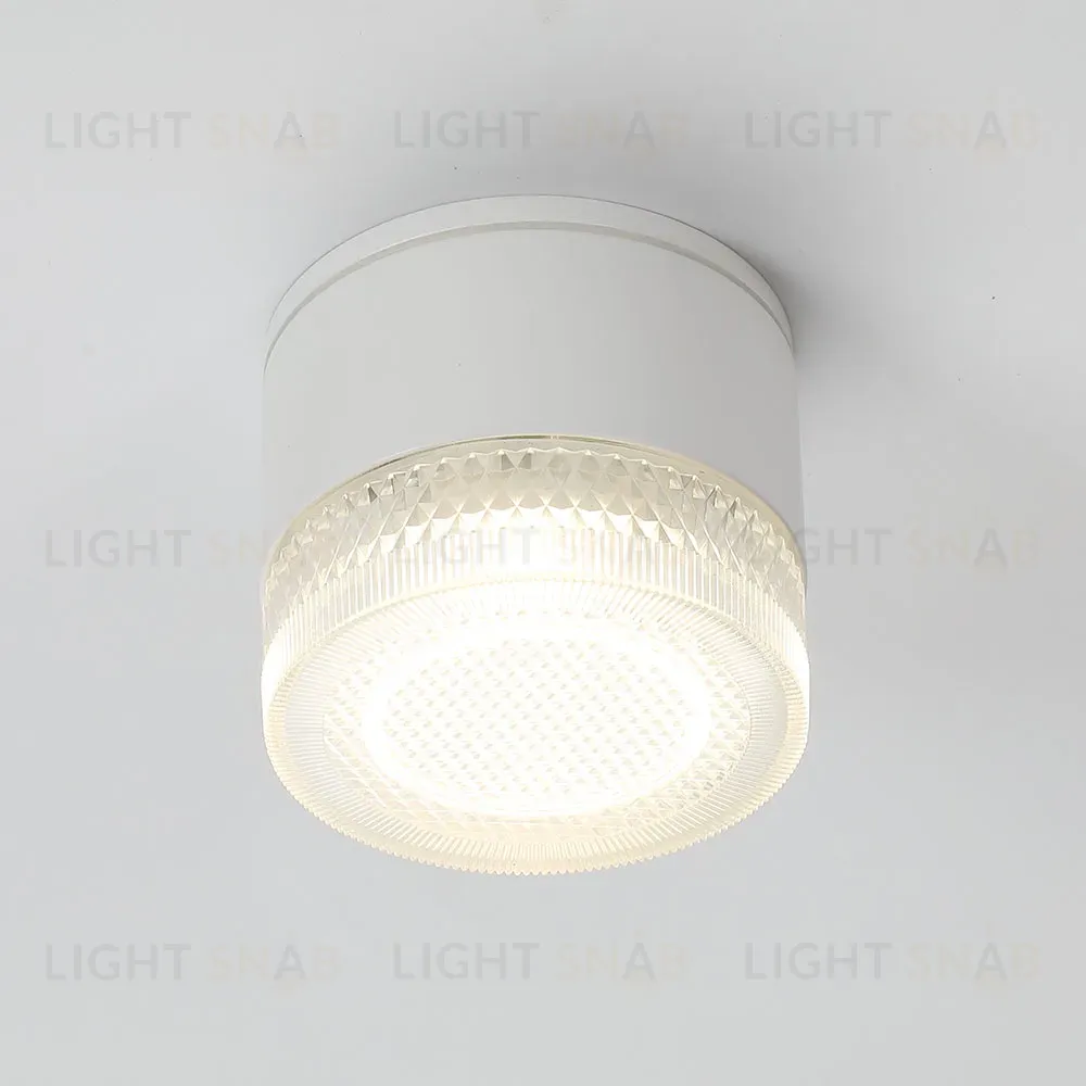 Уличный потолочный светильник Arte Lamp Piautos A1926PF-1WH A1926PF-1WH