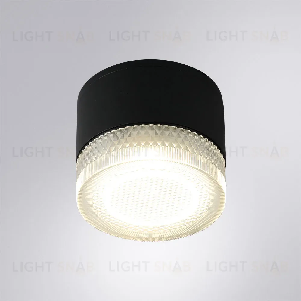 Уличный потолочный светильник Arte Lamp Piautos A1926PF-1BK A1926PF-1BK