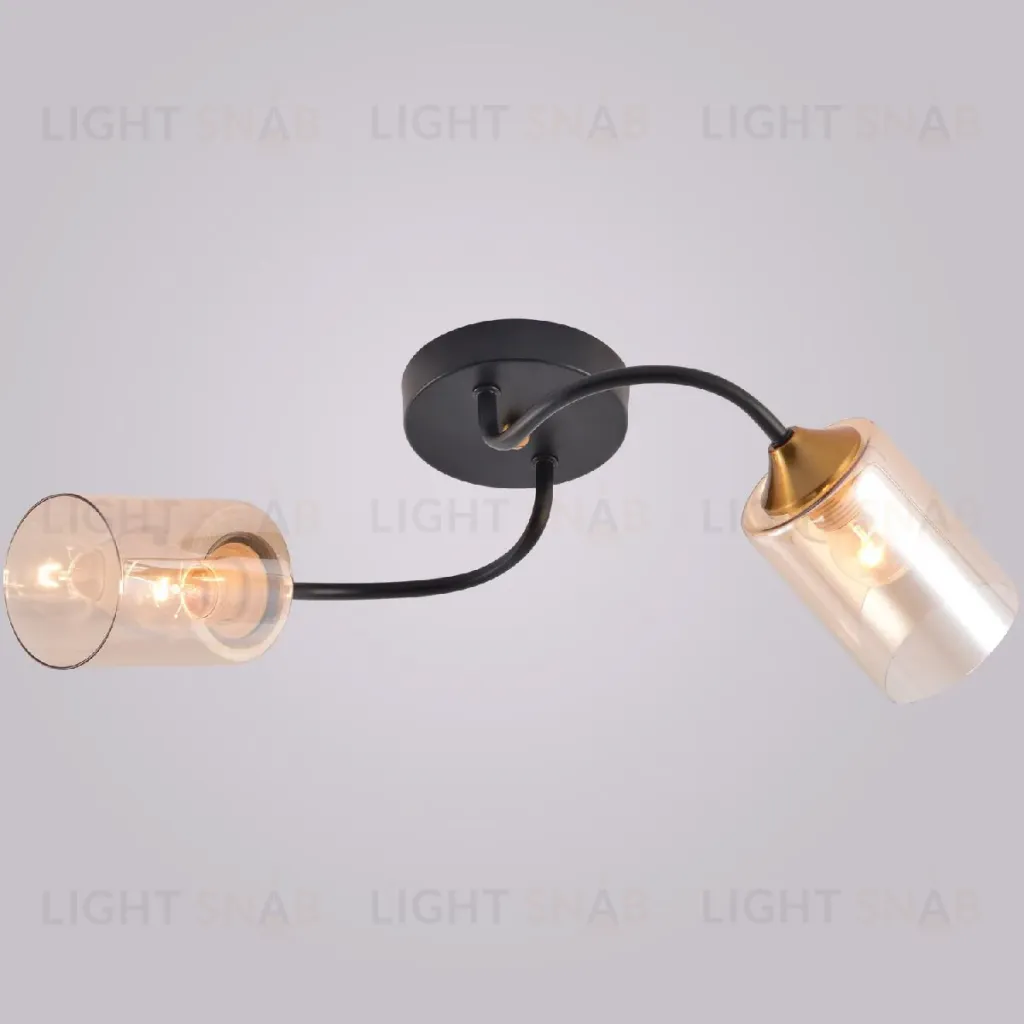 Потолочный светильник Reluce 01608-0.3-02 BK+BRASS 01608-0.3-02 BK+BRASS