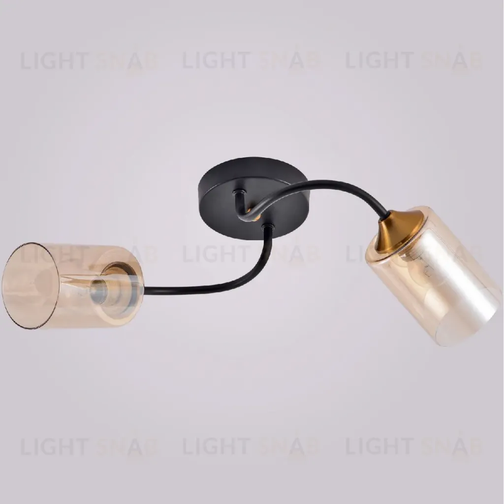 Потолочный светильник Reluce 01608-0.3-02 BK+BRASS 01608-0.3-02 BK+BRASS