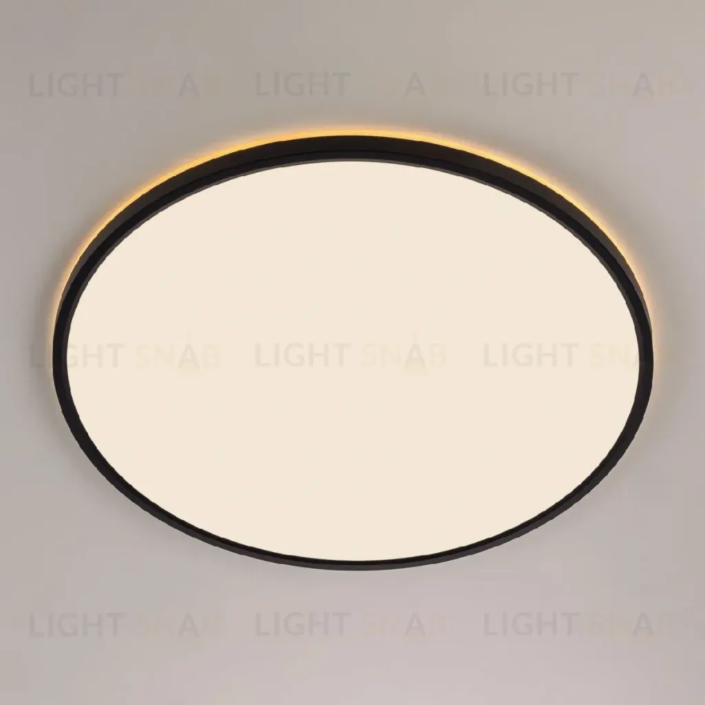 Потолочный светильник Citilux Norma CL748501 CL748501