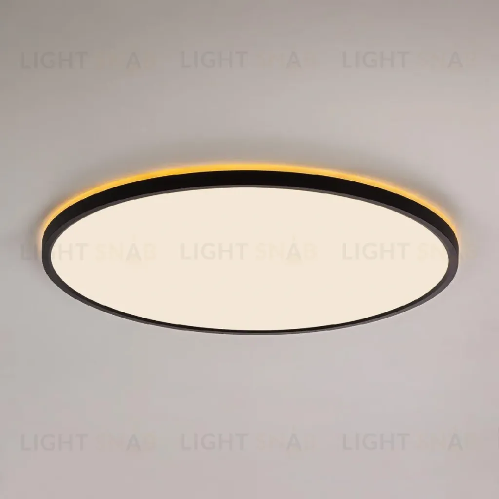 Потолочный светильник Citilux Norma CL748501 CL748501