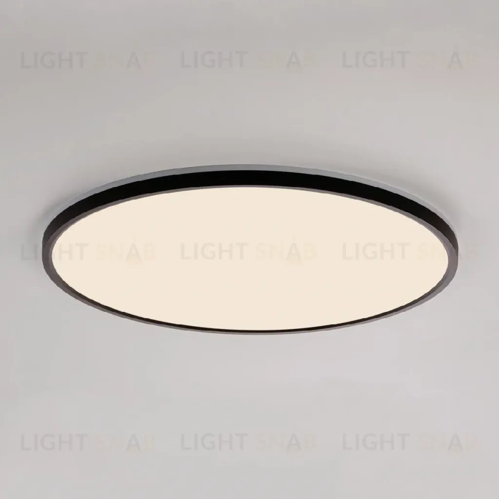 Потолочный светильник Citilux Norma CL748501 CL748501