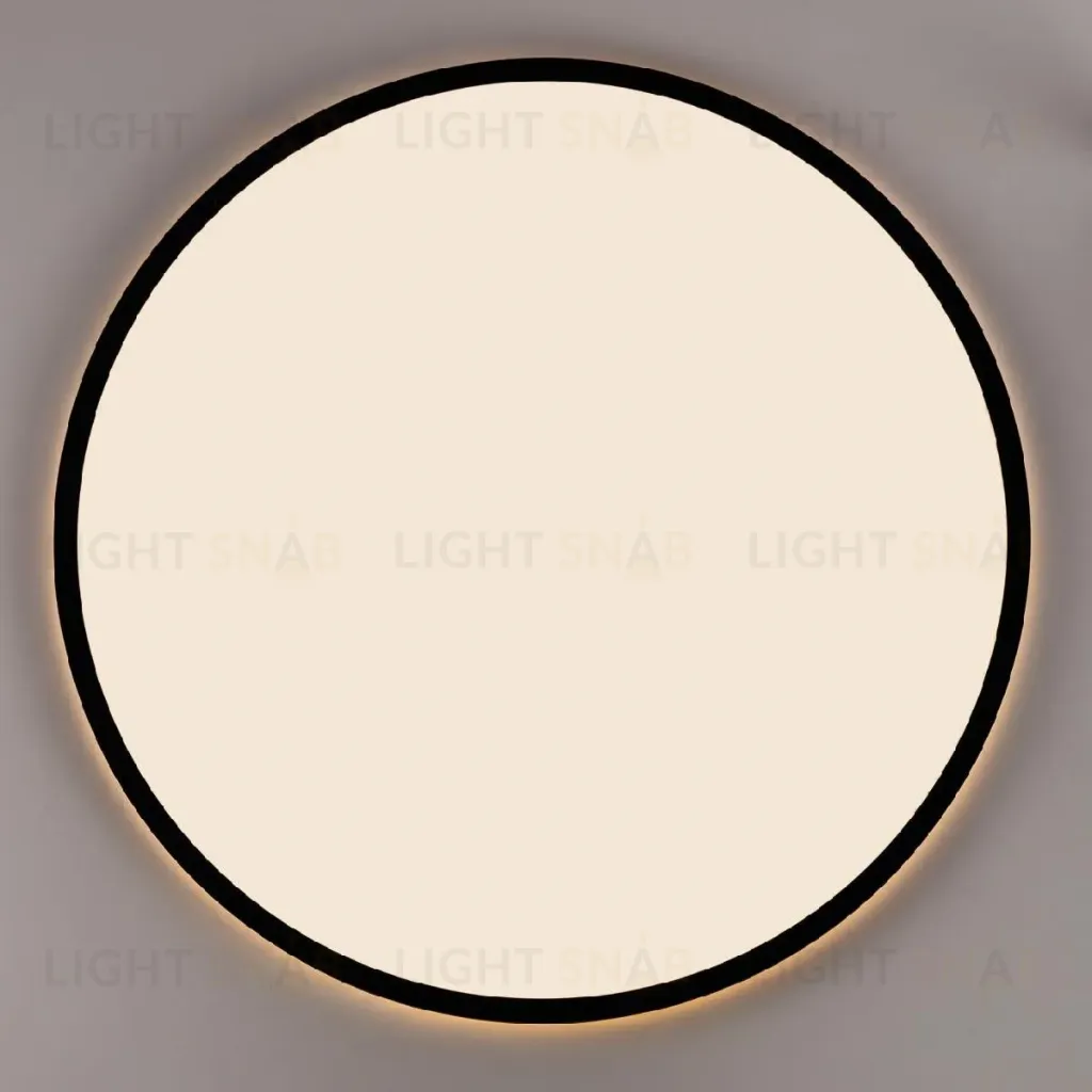 Потолочный светильник Citilux Norma CL748501 CL748501