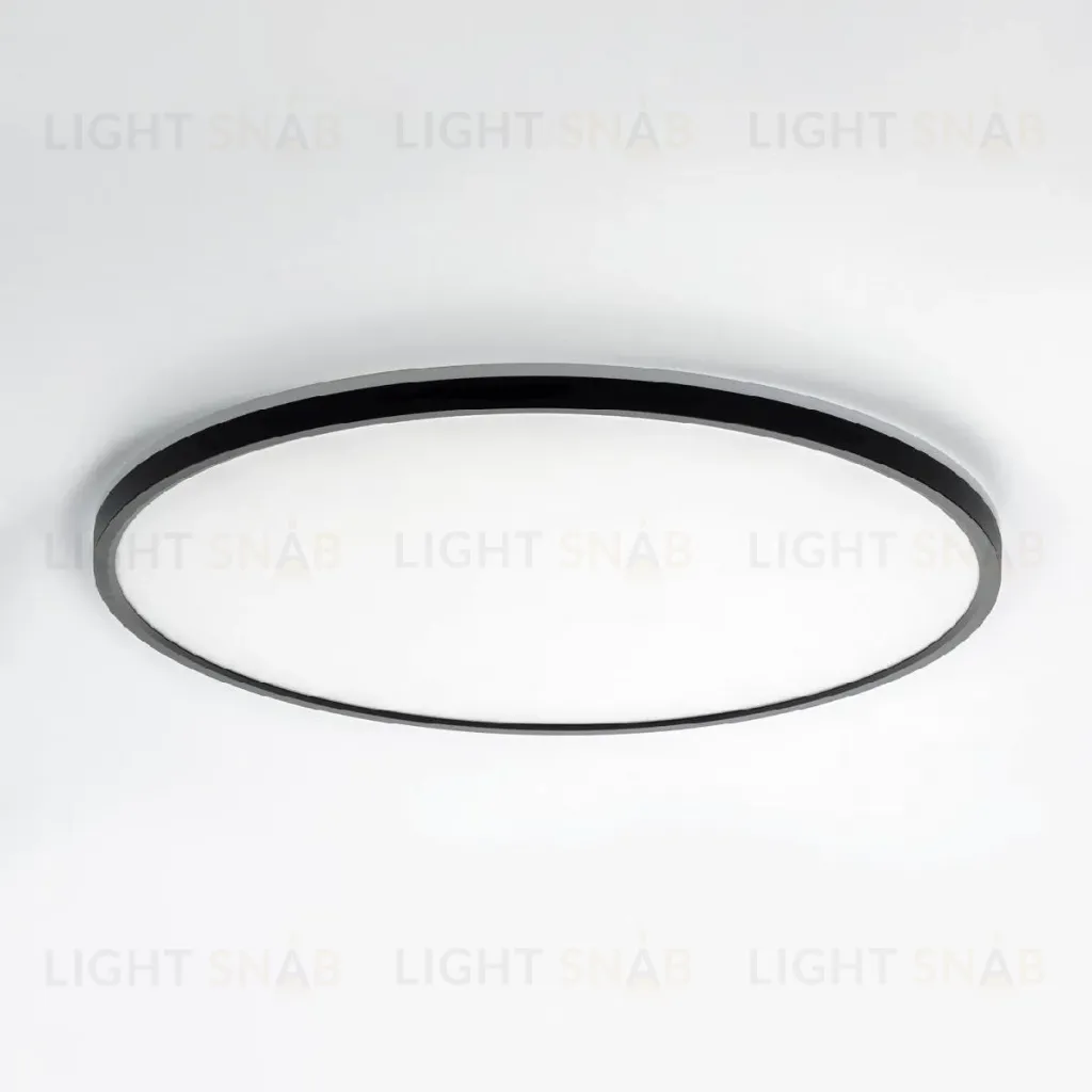 Потолочный светильник Citilux Norma CL748501 CL748501
