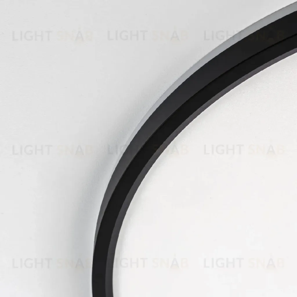 Потолочный светильник Citilux Norma CL748501 CL748501