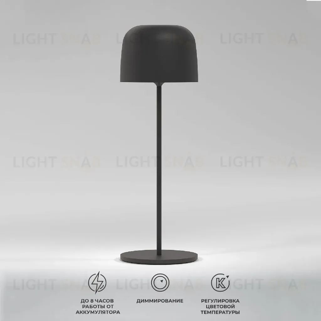 Уличная настольная лампа Elektrostandard Bitty TL70260 4690389211638 a069002 4690389211638