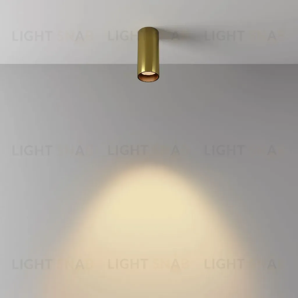Накладной светильник Maytoni Focus led C056CL-L12W2.7K-W-BS C056CL-L12W2.7K-W-BS