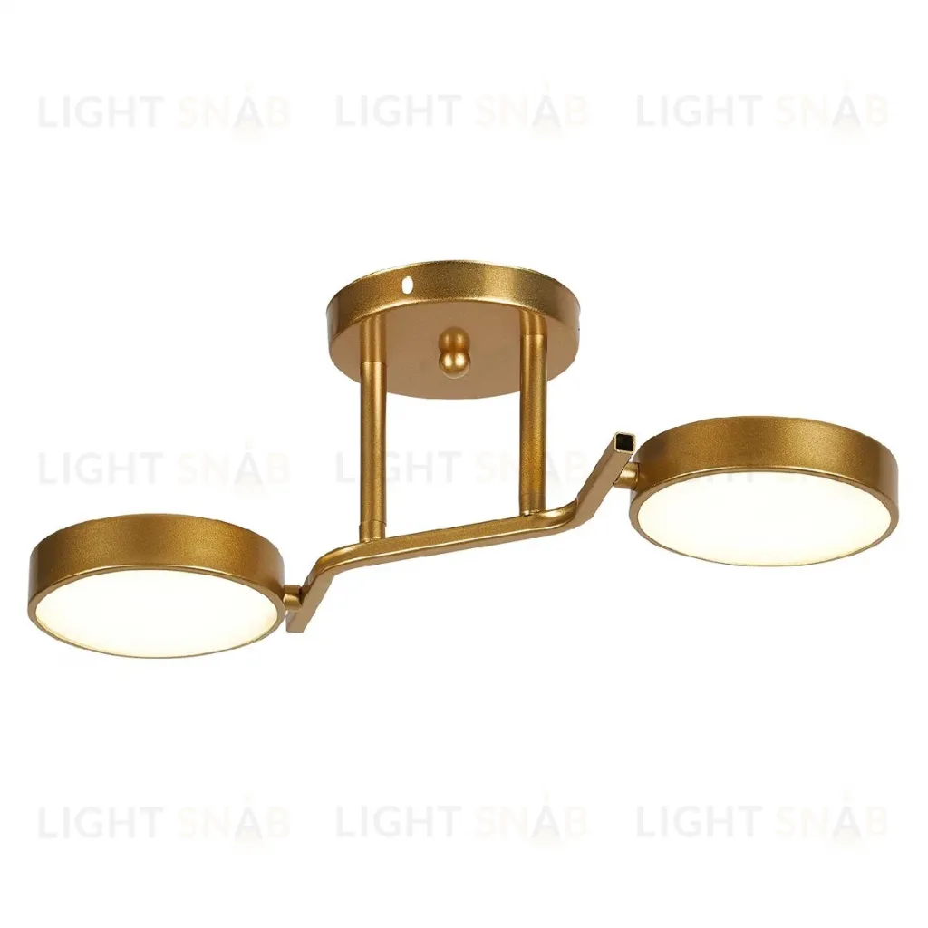 Потолочный светильник Escada Starlight 10273/2LED 10273/2LED
