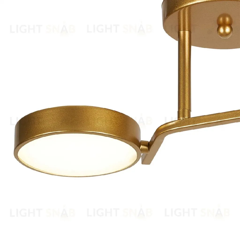 Потолочный светильник Escada Starlight 10273/2LED 10273/2LED