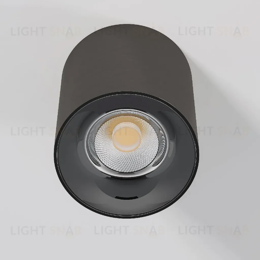 Накладной светильник Elektrostandard Primo 25116/LED 4690389212970 a069415 4690389212970