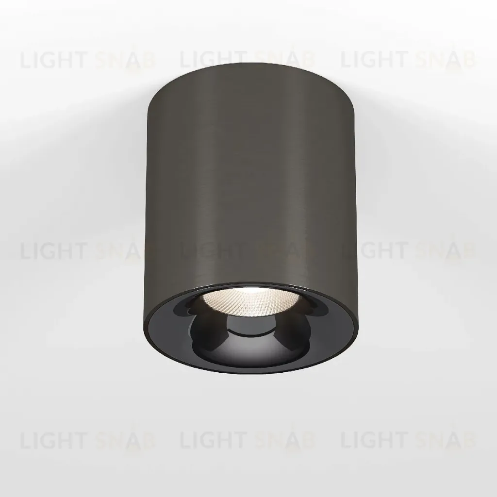 Накладной светильник Elektrostandard Primo 25116/LED 4690389212970 a069415 4690389212970