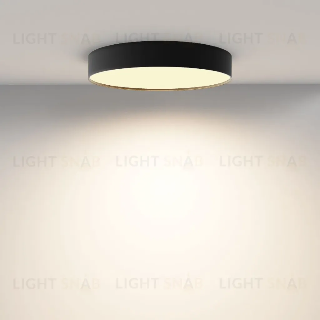 Потолочный светильник Maytoni Zon C032CL-45W2.7K-RD-B C032CL-45W2.7K-RD-B