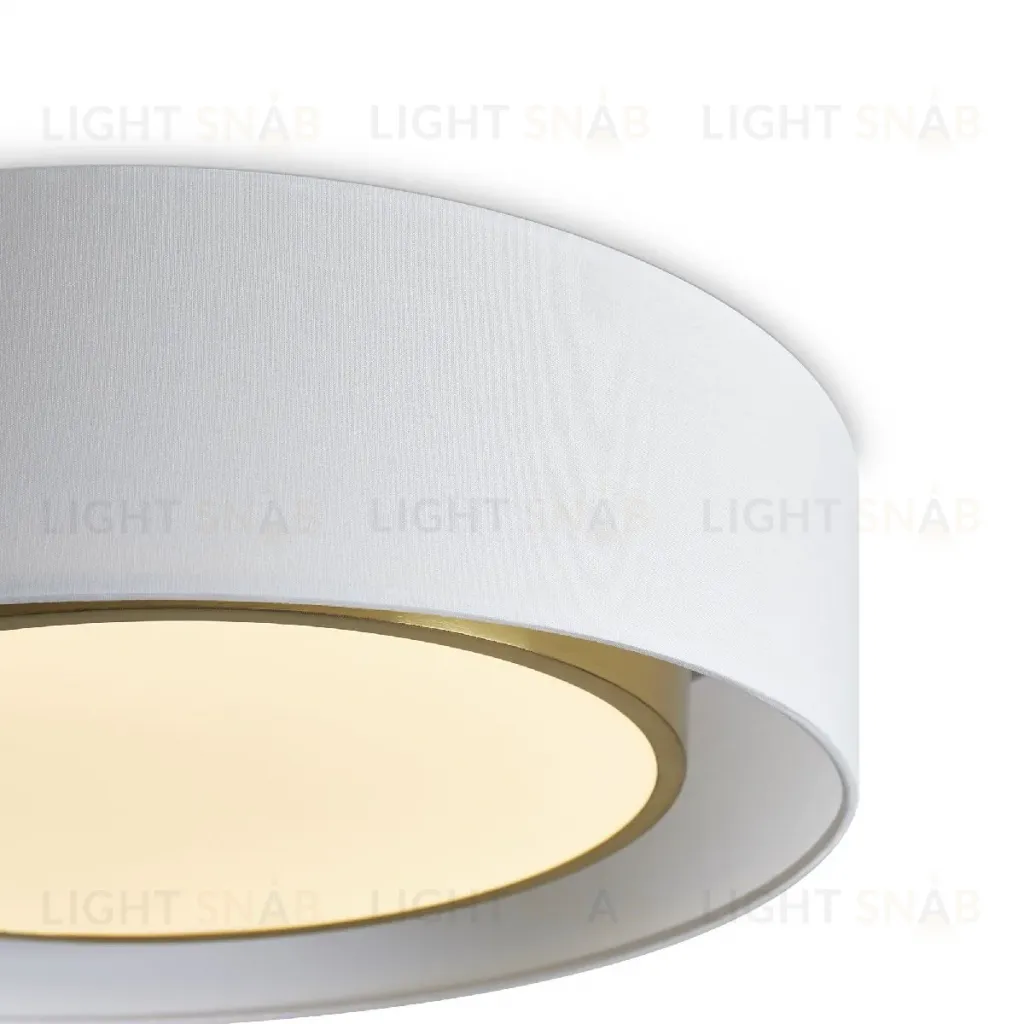 Потолочный светильник Freya Cozy FR6170CL-L52BS FR6170CL-L52BS