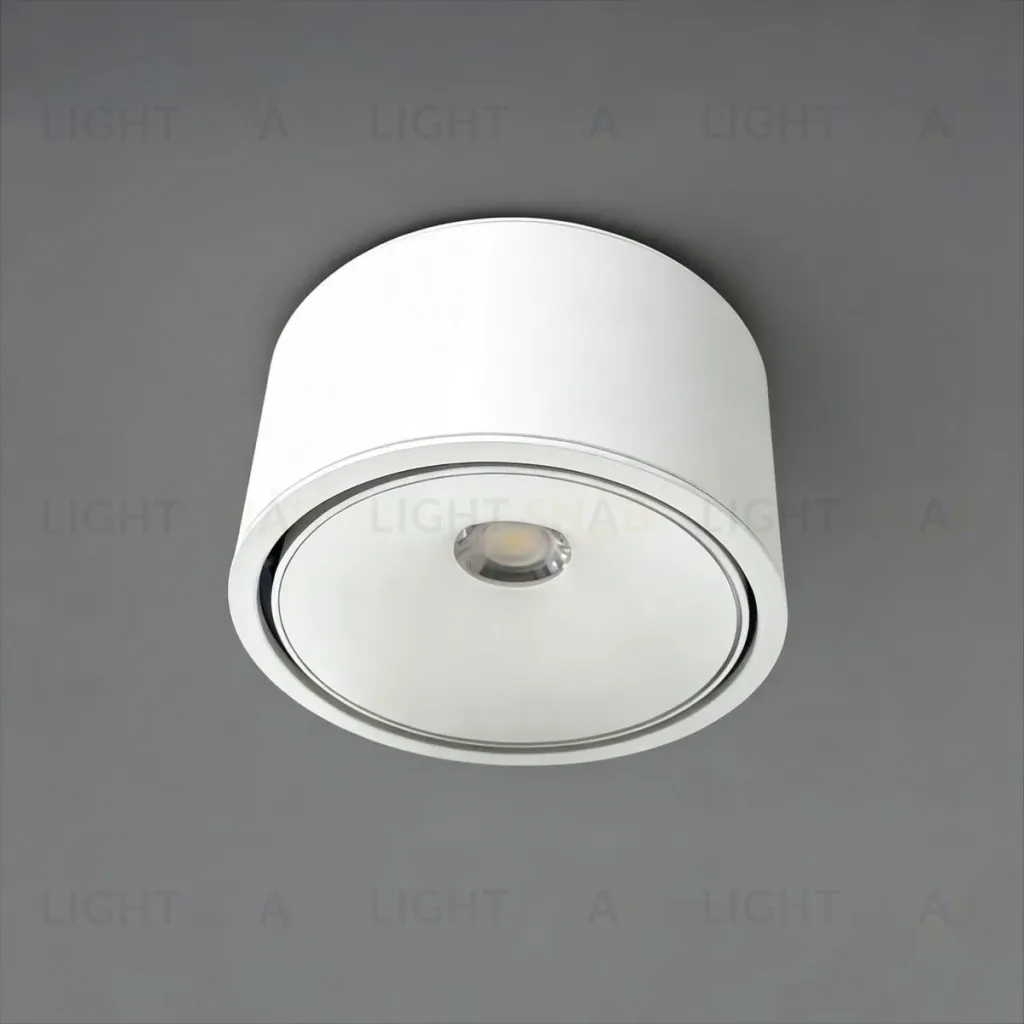 Накладной светильник Wertmark Altair WTA.O06.007.30.12 WTA.O06.007.30.12