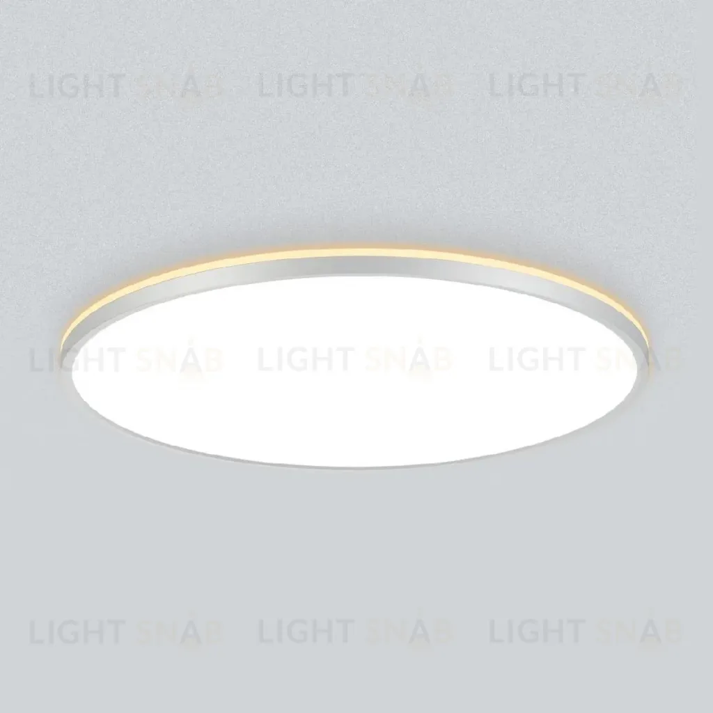 Потолочный светильник Citilux Norma CL748600 CL748600