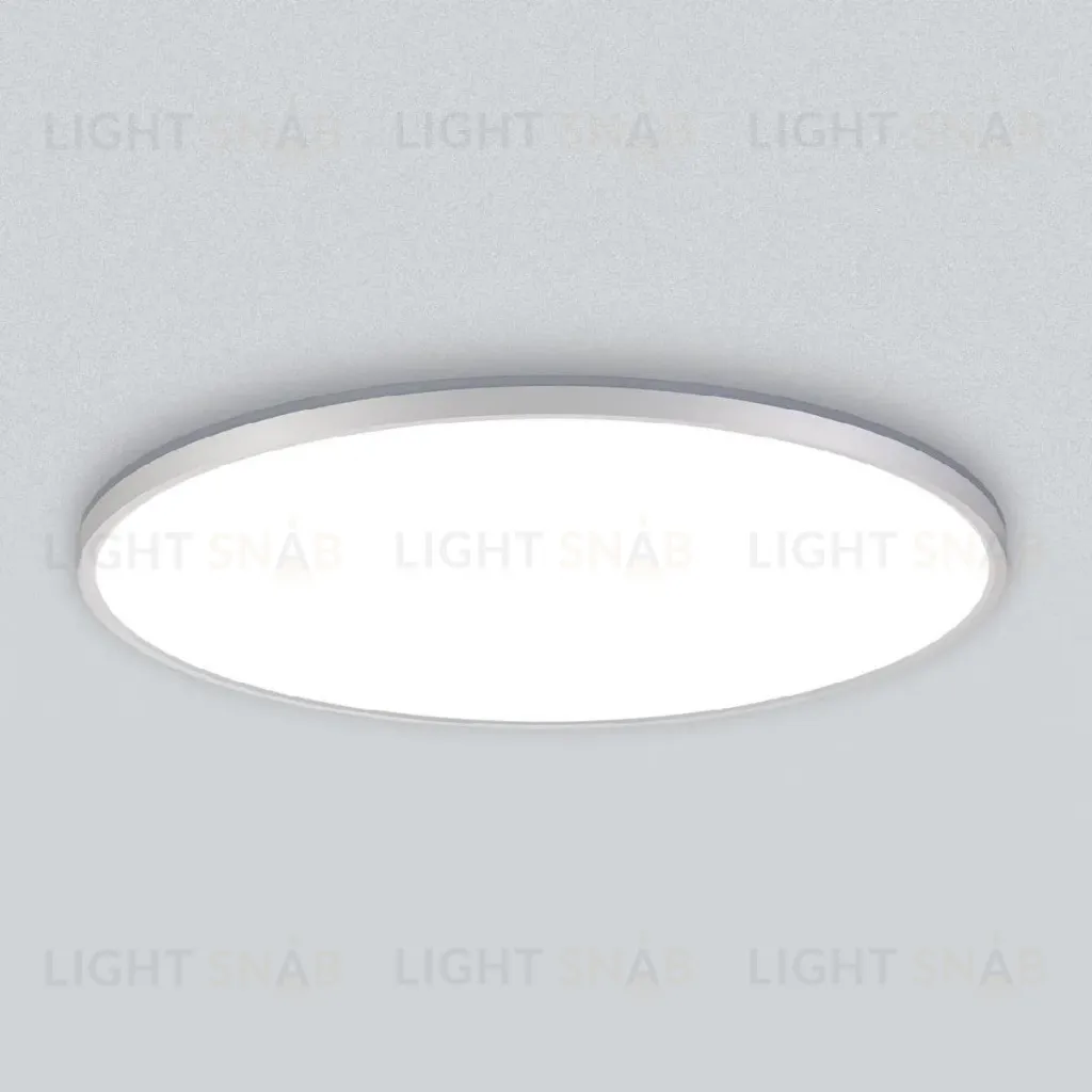 Потолочный светильник Citilux Norma CL748600 CL748600