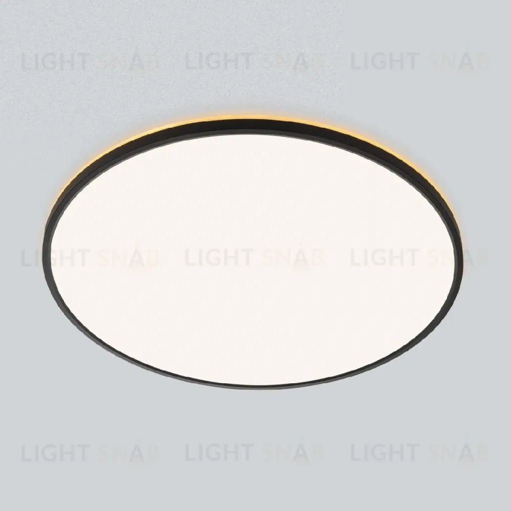 Потолочный светильник Citilux Norma CL748601 CL748601