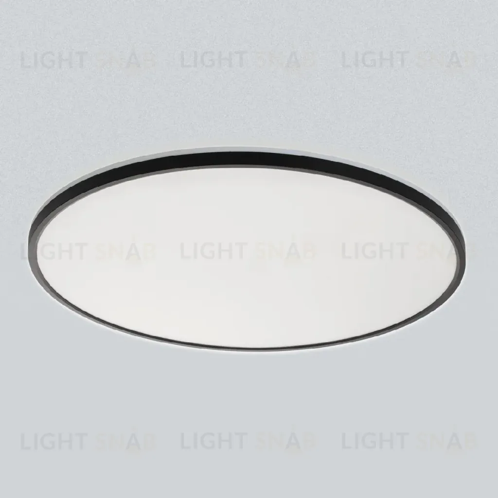 Потолочный светильник Citilux Norma CL748601 CL748601