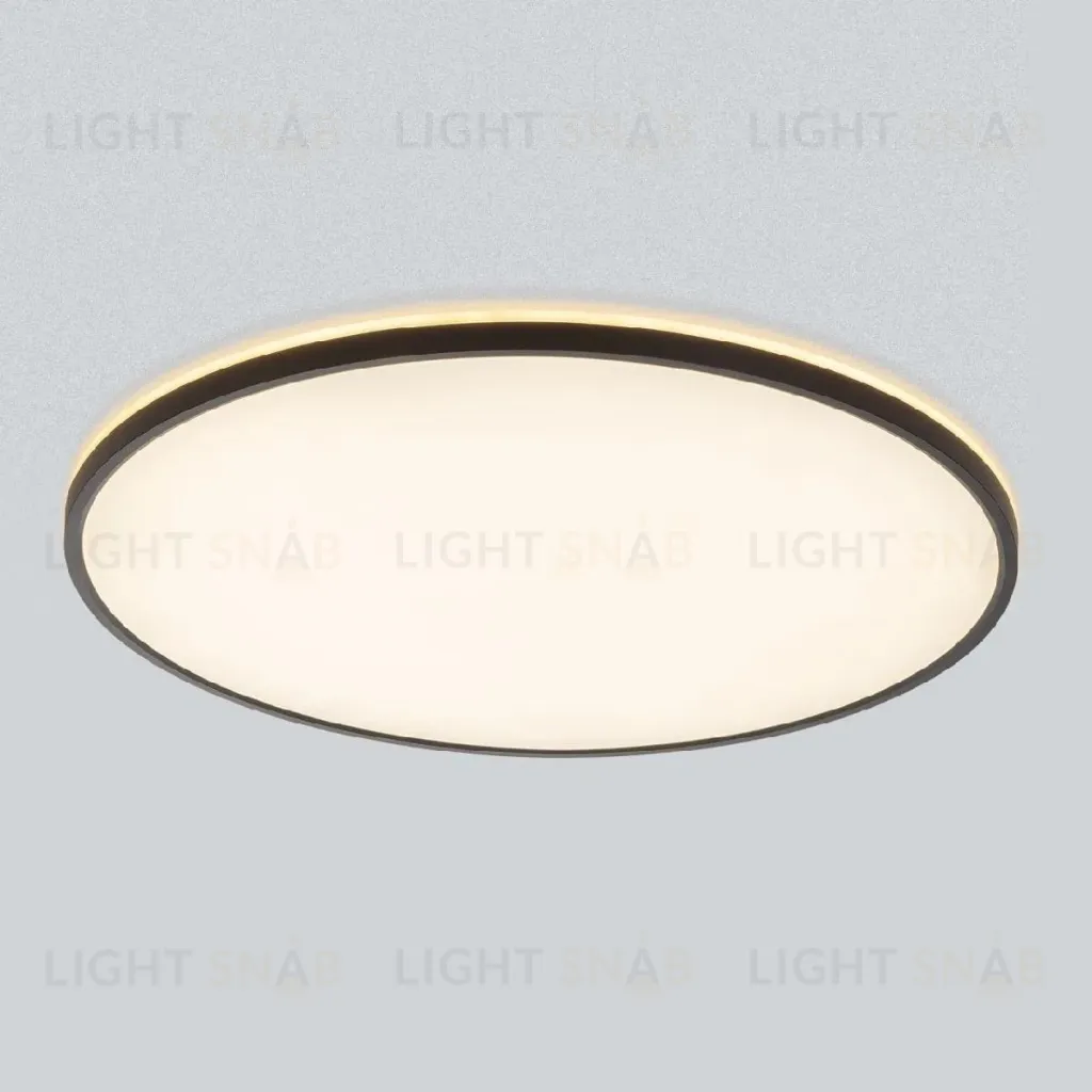 Потолочный светильник Citilux Norma CL748601 CL748601